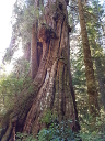 20160914_110241.jpg