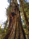 20160914_110251.jpg